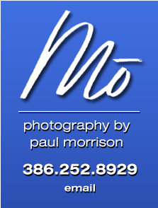 Photography by Paul Morrison